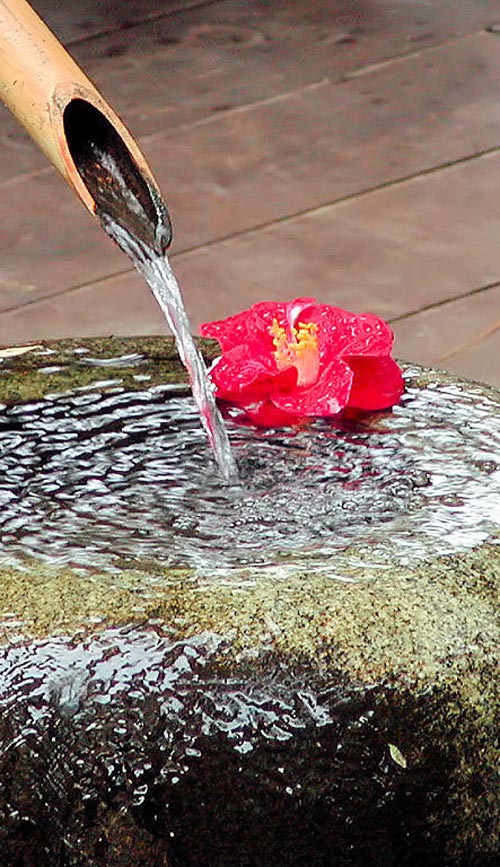 badet
